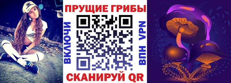 omg ONION Железноводск Псилоцибиновые грибы мицелий